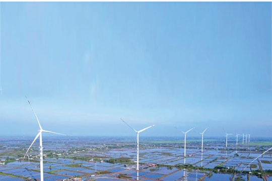 Bạc Liêu hướng tới trung tâm năng lượng sạch