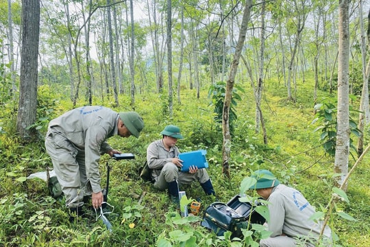 Ngành địa chất hướng tới thúc đẩy phát triển bền vững