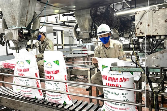 Chính thức áp thuế 5% với phân bón : Động lực đầu tư cho doanh nghiệp