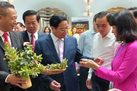 Kiên Giang cải thiện Chỉ số PCI theo hướng thực chất, căn cơ để phát triển bền vững