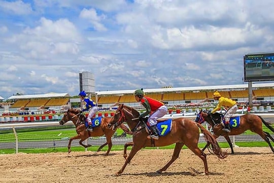 Đề xuất xây dựng nghị định mới cho đặt cược thể thao