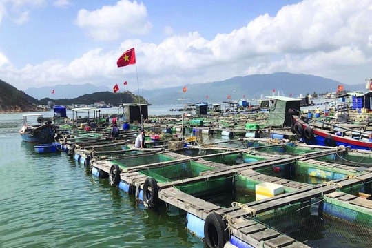 Phát triển kỹ năng ngành nuôi biển công nghiệp để tham gia vào chuỗi giá trị toàn cầu