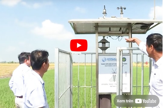 Chuyển đổi số - giải pháp then chốt nâng cao năng suất ngành nông nghiệp