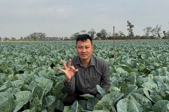 Khởi nghiệp thành công nhờ đưa nông sản đi xa