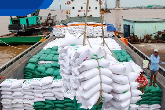 Xuất khẩu gạo tăng đột biến, doanh nghiệp ngành gạo vẫn chưa qua “cơn bĩ cực”