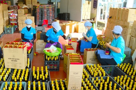 Doanh nghiệp Quảng Ninh đẩy mạnh sản xuất cuối năm