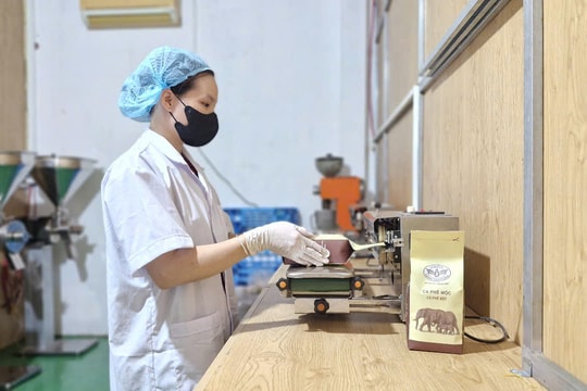 Thành công từ sự sáng tạo