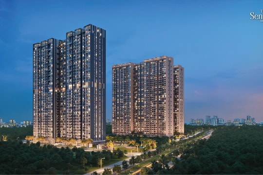 Lợi nhuận hấp dẫn, giới đầu tư “săn” căn hộ cho thuê