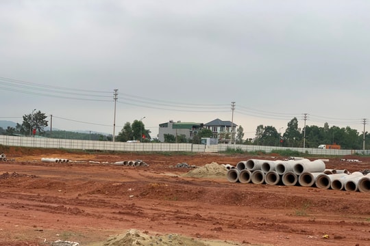 Hà Nội: dừng đấu giá 39 thửa đất ở Thanh Oai