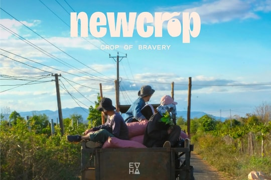 Bền vững – từ nhận thức đến tăng trưởng