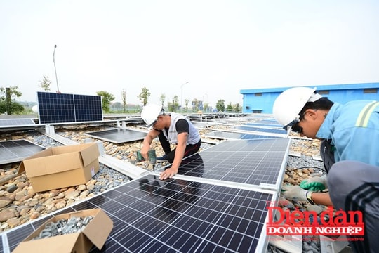 Luật Điện lực (sửa đổi): Động lực thúc đẩy phát triển năng lượng tái tạo