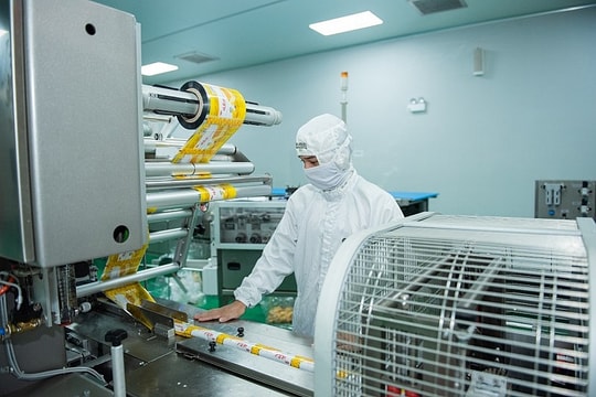 Thực hành ESG tạo cơ hội cả trong ngắn hạn và dài hạn