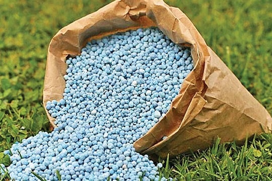Ngành phân bón sẽ đối diện với những rủi ro gì?