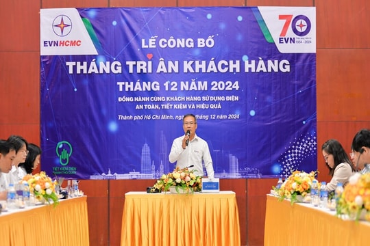 EVNHCMC bảo đảm cấp điện ổn định an toàn dịp lễ Noel và Tết Dương lịch