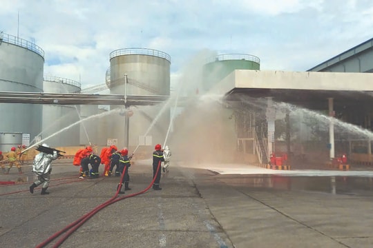 Bà Rịa - Vũng Tàu: “Điểm tựa” giúp doanh nghiệp bứt phá