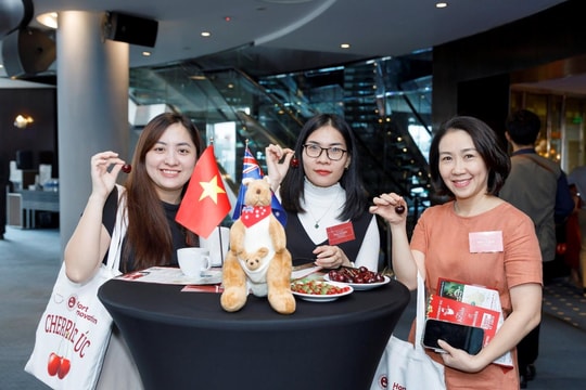 Sự kiện giao lưu kết nối sản phẩm cherry Úc tại TP HCM