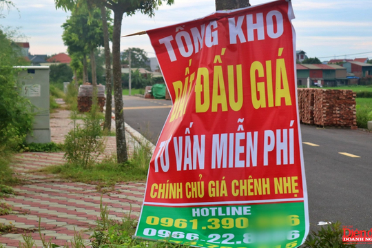Áp dụng bảng giá đất mới, Hà Nội có triệt tiêu "đầu cơ" đất đấu giá?