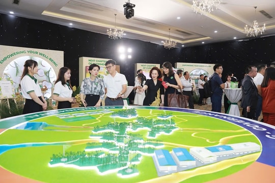 Tăng sức cạnh tranh ngành dừa: Cần chính sách thuế và hàng rào bảo vệ