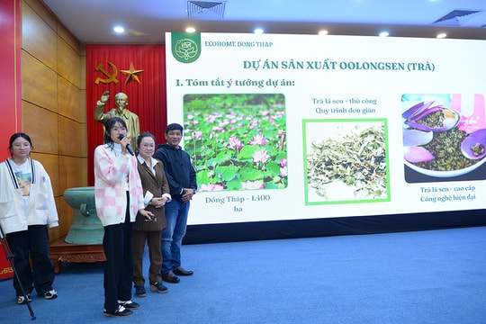 FESTIVAL KHỞI NGHIỆP 2024: Trà Oolong Sen đáp ứng xu hướng tiêu dùng trà sạch, hữu cơ