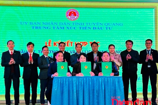 Tuyên Quang kết nối giao thương với Hải Phòng, Hải Dương