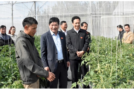 Điện Biên tái cơ cấu nông nghiệp gắn với xây dựng nông thôn mới