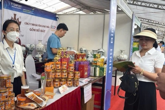 Hỗ trợ thanh niên khởi nghiệp đổi mới sáng tạo