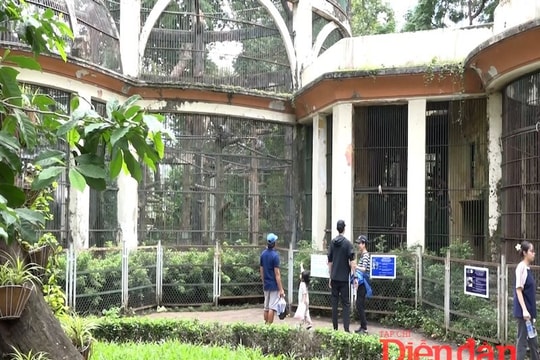 Nguy cơ đóng cửa Thảo Cầm Viên Sài Gòn: Cần rà soát lại chính sách đất đai, thuế…