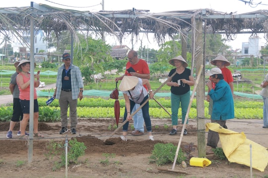 Giải pháp để du lịch nông thôn “cất cánh”