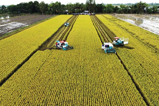 Nông nghiệp Việt và “cuộc đua” tiến tới Net Zero