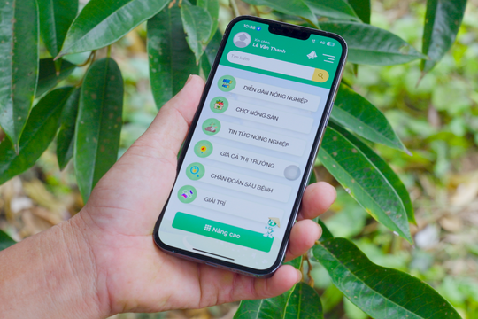 Phân Bón Cà Mau ra mắt AI tính năng chẩn đoán sâu bệnh trên ứng dụng 2Nông
