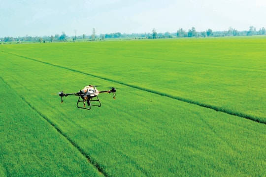 Cần Thơ thu hút đầu tư “nông nghiệp xanh” phát triển bền vững