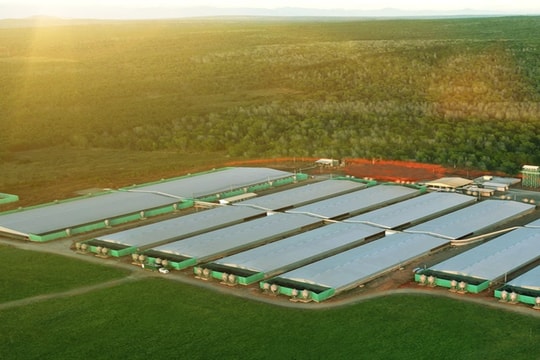 Doanh nghiệp cần cơ chế hỗ trợ cho chuyển đổi kép