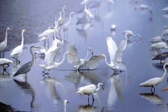 Du lịch Nam Định “trải thảm” thu hút đầu tư