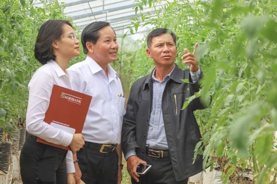 Dẫn vốn hiệu quả vào “tam nông”