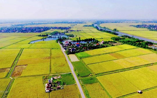 Miễn thuế đất nông nghiệp thêm 5 năm: Thúc đẩy kinh tế nông nghiệp phát triển