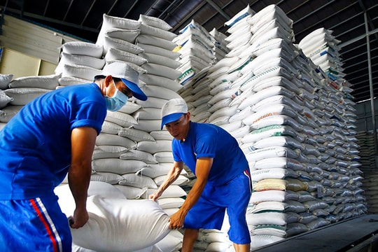 Khó khăn kép của doanh nghiệp xuất khẩu gạo