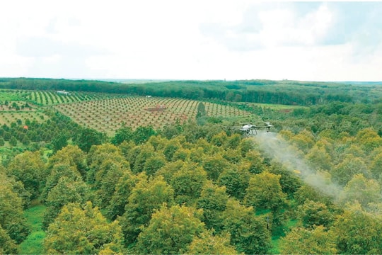 Bình Phước: Phát triển nông nghiệp bền vững