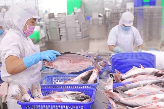 “Bệ phóng” cho VHC