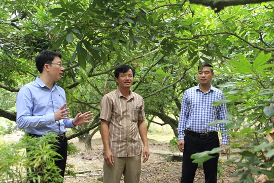 Dấu ấn Khoa học và Công nghệ tỉnh Hưng Yên