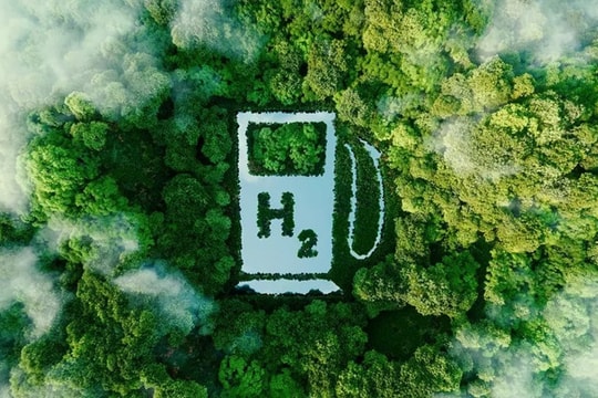 Thị trường carbon: Thương mại và chủ quyền