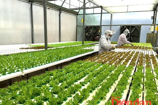 Đòn bẩy từ công nghệ nông nghiệp cho Đông Nam Á
