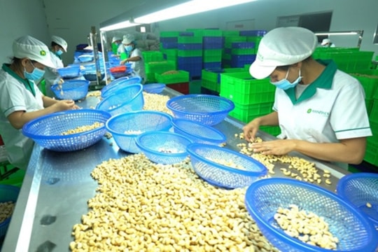 Bình Phước: Điểm sáng trong phát triển kinh tế