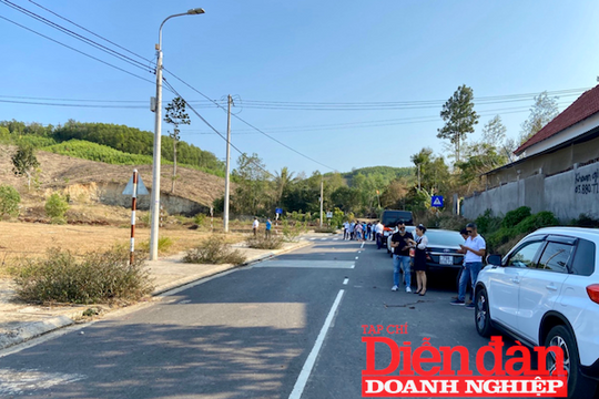 Khánh Hòa chấn chỉnh công tác đấu giá đất