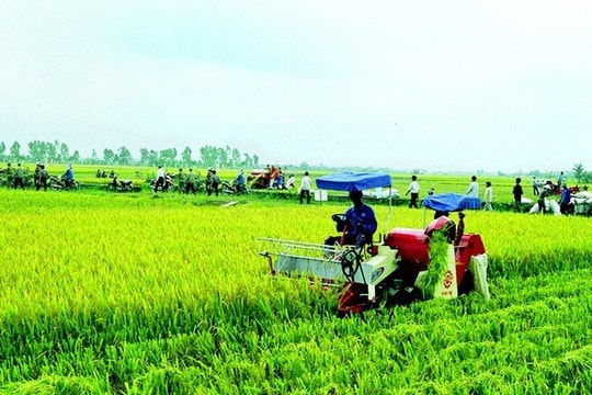 Nâng cao sử dụng nguồn vốn ODA cho ngành nông nghiệp