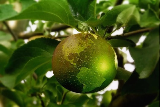 Doanh nghiệp châu Á - Thái Bình Dương gặp nhiều thách thức phát triển bền vững