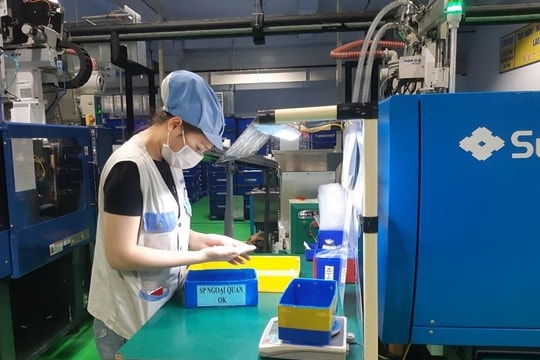 Những doanh nghiệp Hải Dương đi đầu về nộp thuế