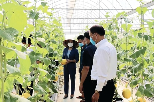 Để nông dân thành doanh nhân