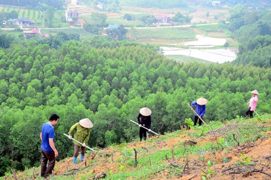 Phát triển thị trường tín chỉ carbon: Cần tập trung nâng cao nhận thức cho các chủ thể