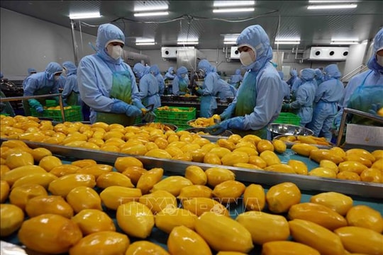 “Mở hàng” năm mới 2025