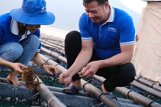 Quảng Ninh: Đặt mục tiêu bứt phá trong phát triển kinh tế